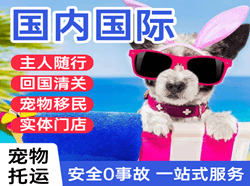 成都天府航空物流国际宠物托运 【国